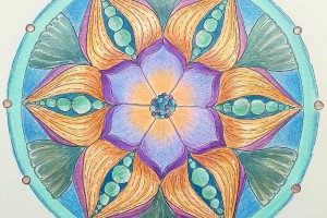 Mandala e Creazione (Videocorso)