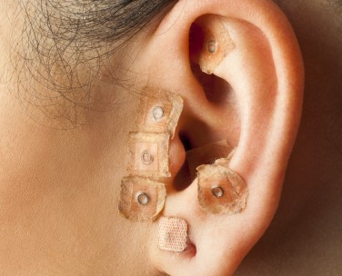 Specializzazione in Auricologia