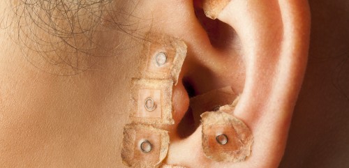 L'Auricologia