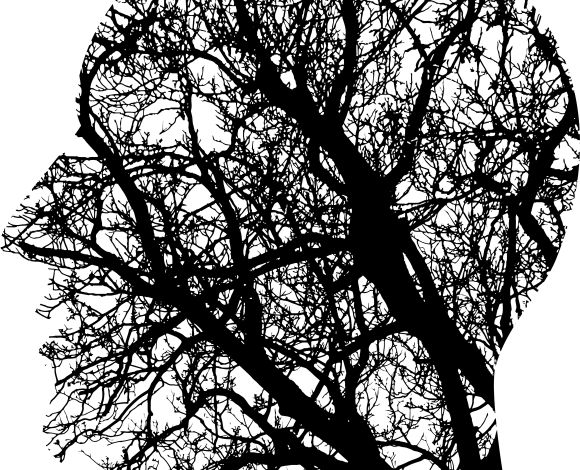 L'educazione olistica