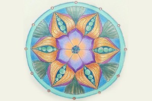 Facilitatore Mandala®