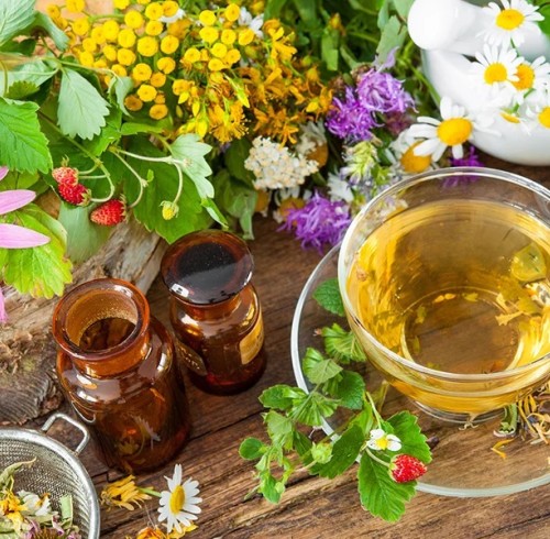 Scuola di Naturopatia