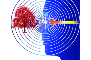 Counseling Olistico in Comunicazione