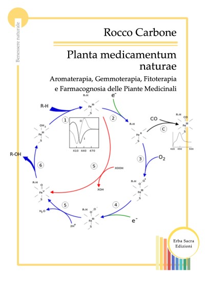 Planta Medicamentum Naturae