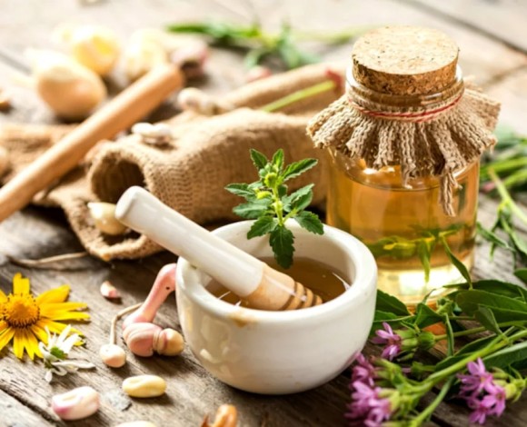 Breve Storia della Fitoterapia