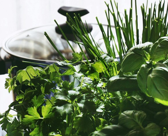 A tavola con le "erbacce"