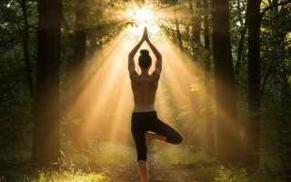 Le ventidue forme di Yoga