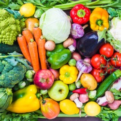 Scienza dell'Alimentazione